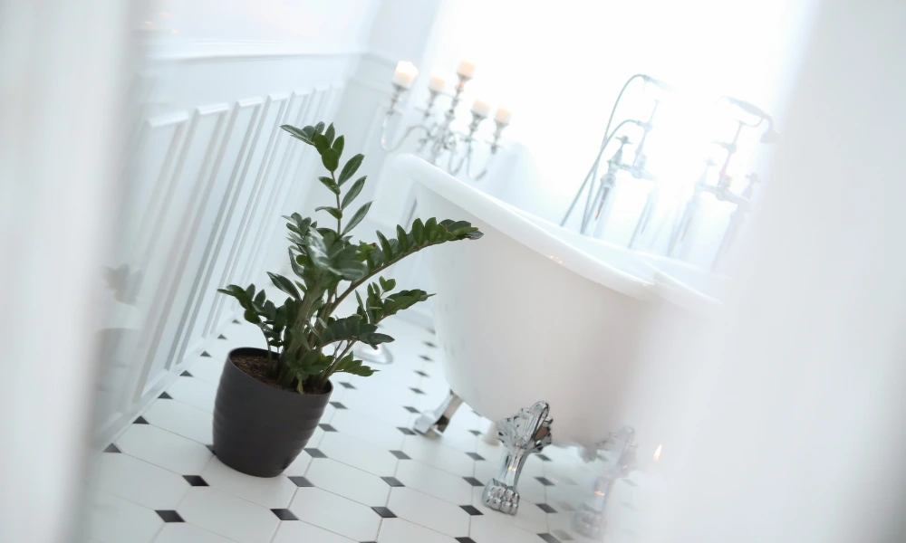 Sedot WC Wonoayu Sidoarjo Borongan