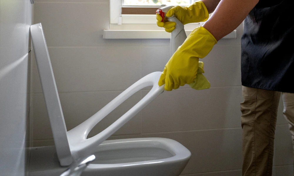 Sedot WC Donomulyo Malang Borongan